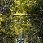 Water Hideout - Floating Luxury In Pure Wilderness Botel *