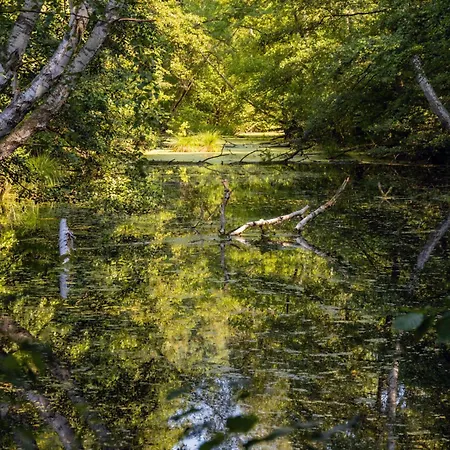 Water Hideout - Floating Luxury In Pure Wilderness Bådhotel *
