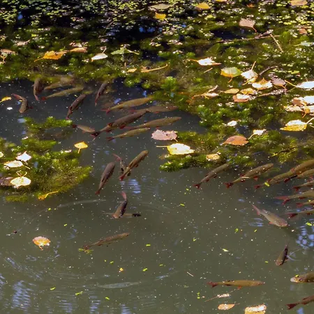 Bådhotel Water Hideout - Floating Luxury In Pure Wilderness *