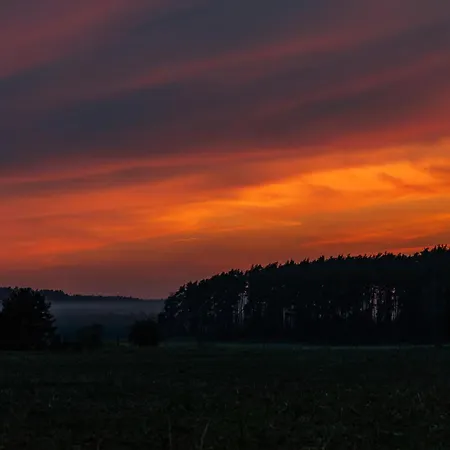 Bådhotel Water Hideout - Floating Luxury In Pure Wilderness Wysoka (Miedzyrzecz)