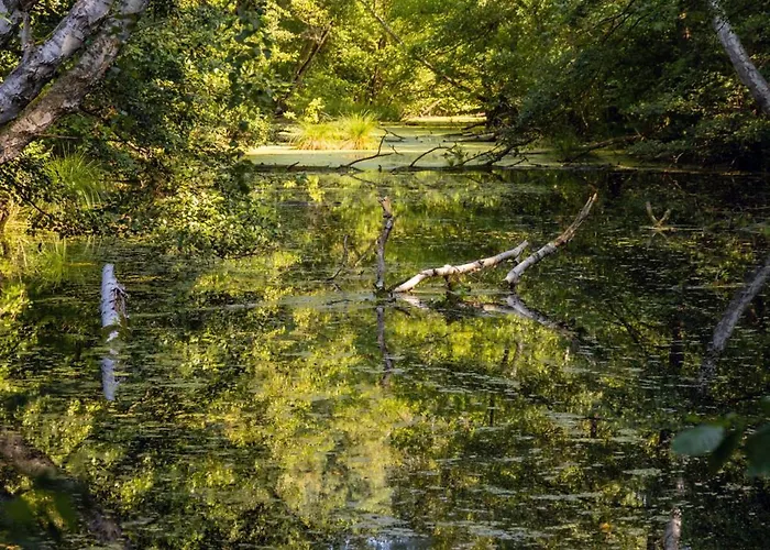 Water Hideout - Floating Luxury In Pure Wilderness Botel *