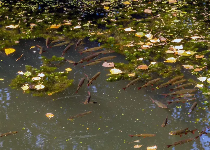 Ботель Water Hideout - Floating Luxury In Pure Wilderness *